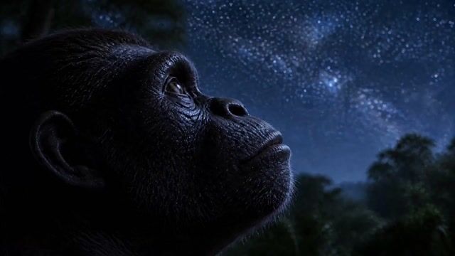 Ape to Human Evolution Space Transition
